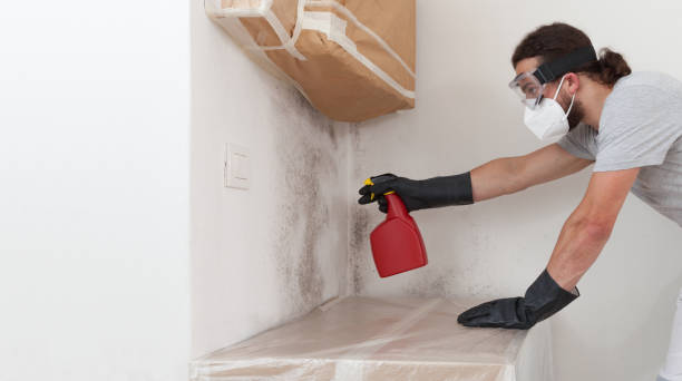 Professional Mold Remediation technician working in Preston, TX