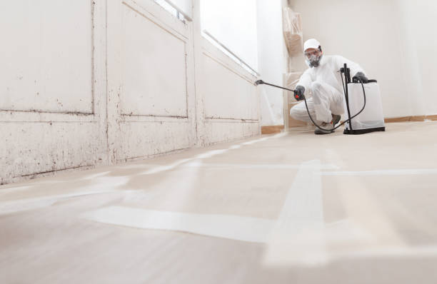 24/7 Emergency Mold Remediation experts in Preston, TX